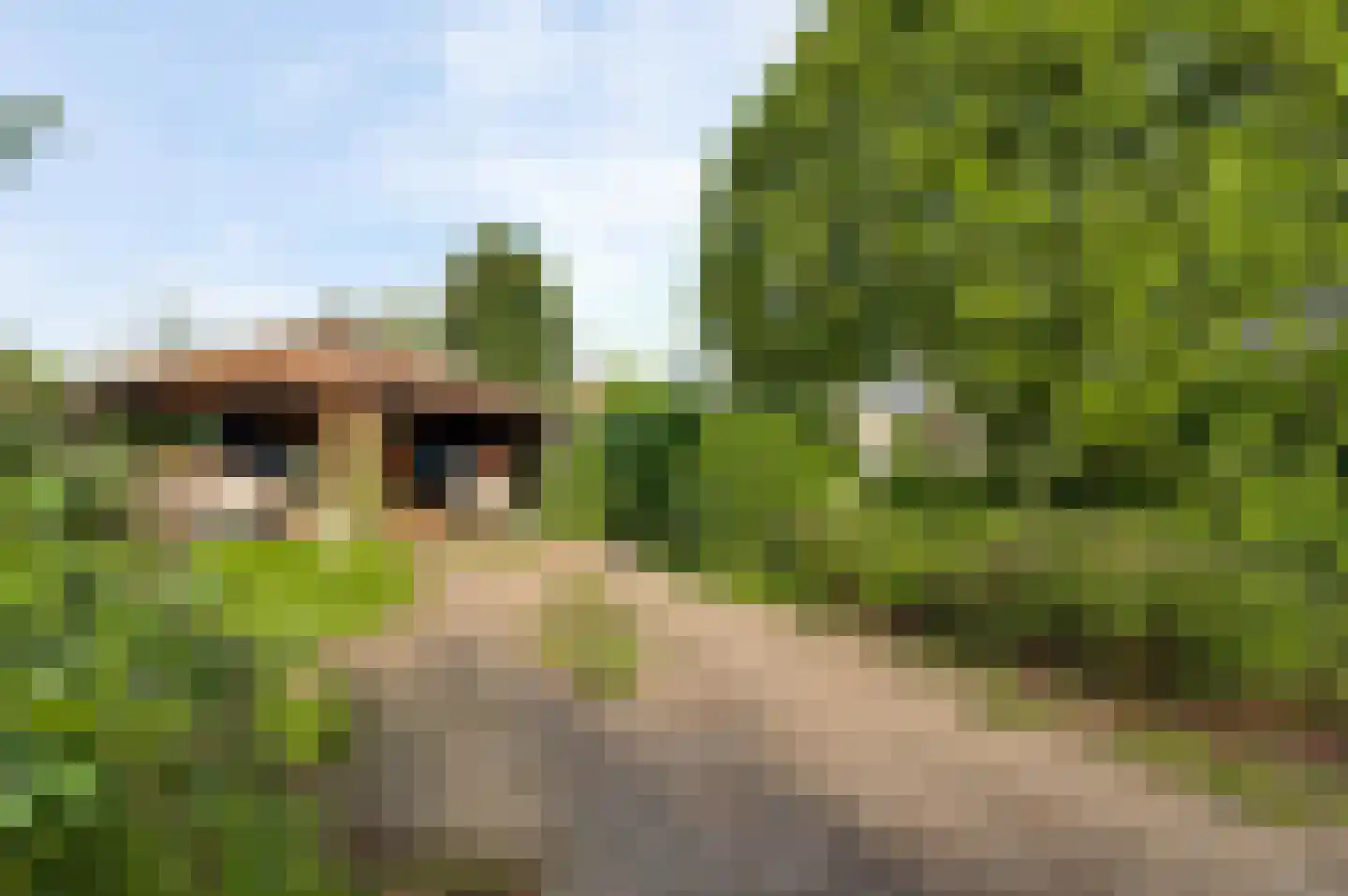 Venrayseweg 123 a Horst thumbnail 49