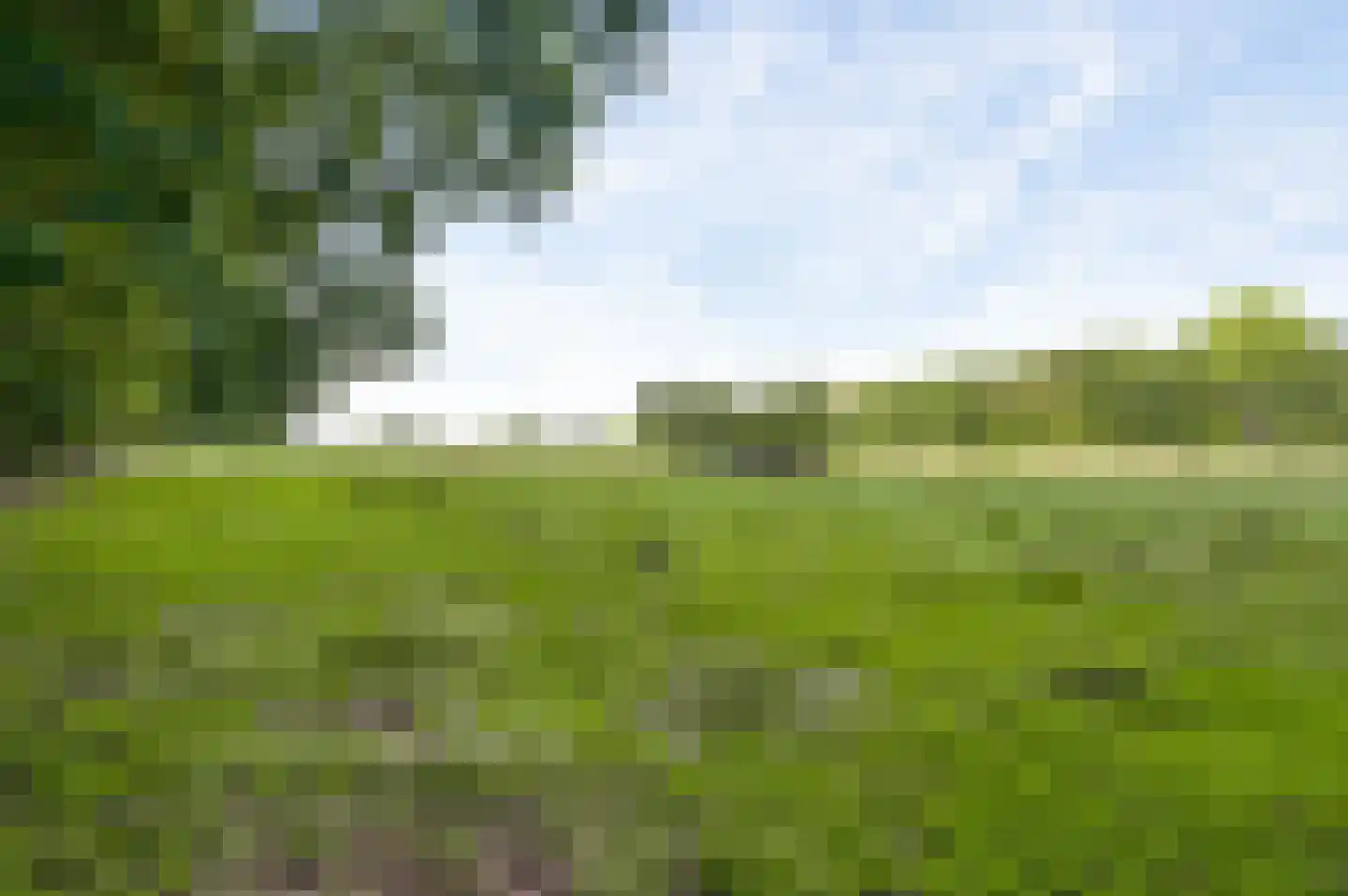 Venrayseweg 123 a Horst thumbnail 51