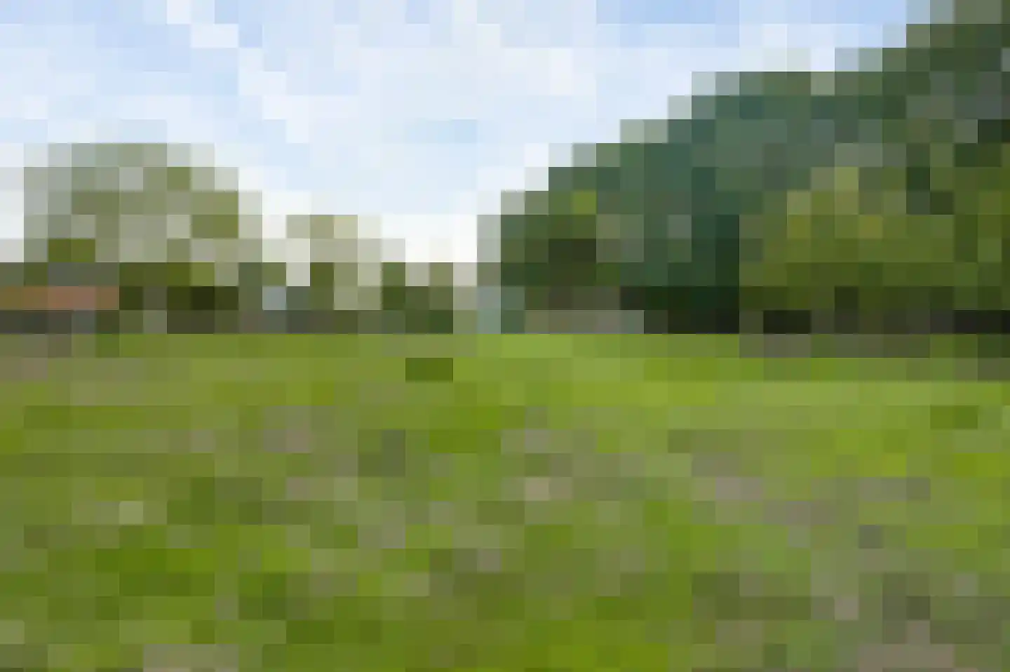 Venrayseweg 123 a Horst thumbnail 53