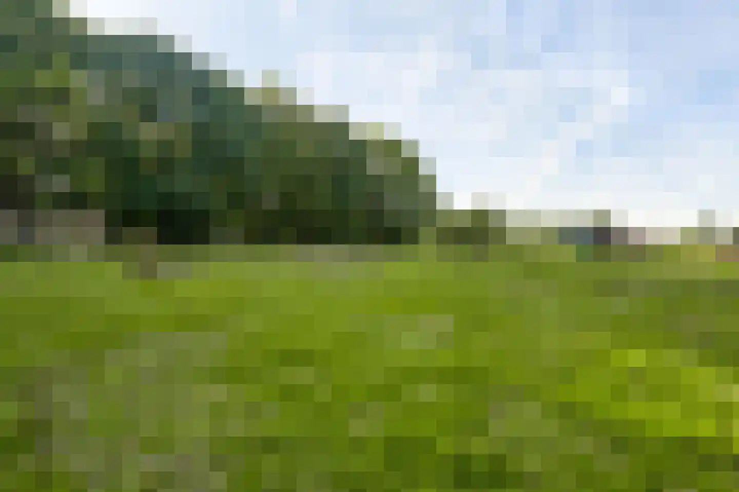 Venrayseweg 123 a Horst thumbnail 54