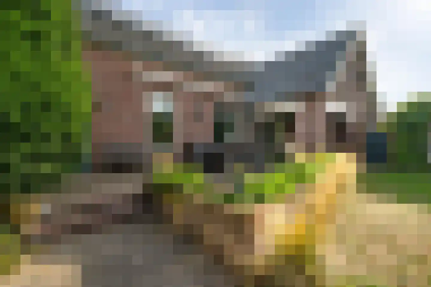 Venrayseweg 123 a Horst thumbnail 7