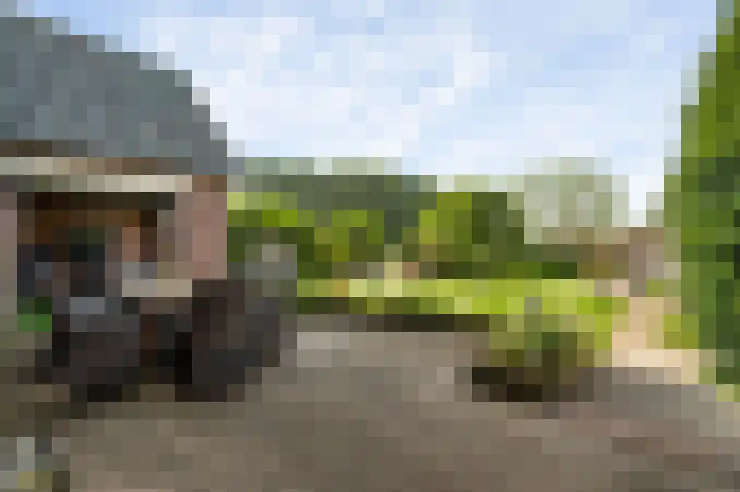 Venrayseweg 123 a Horst thumbnail 8