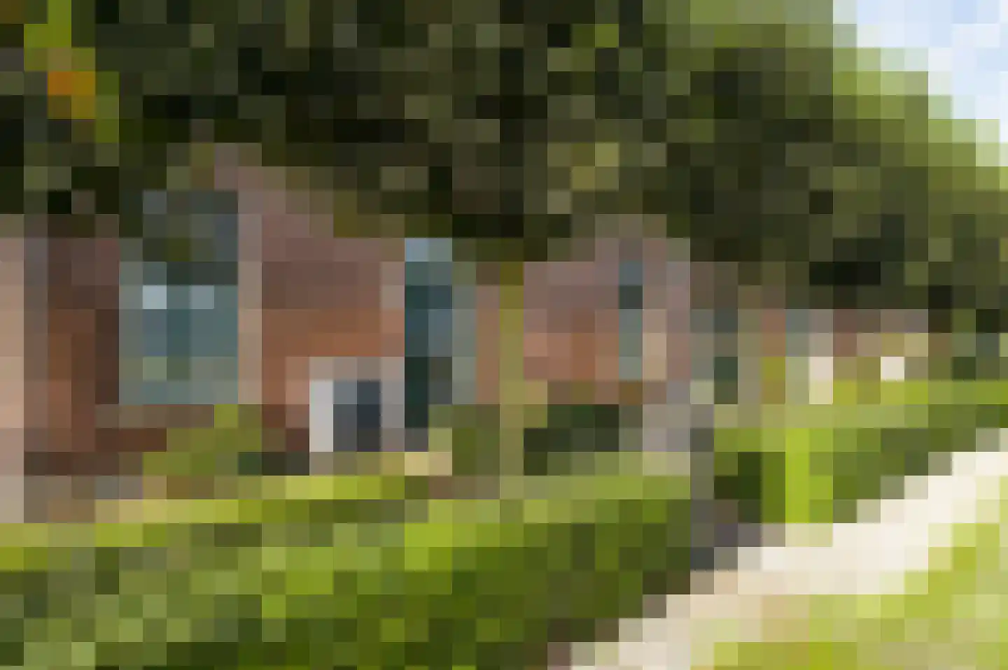 Venrayseweg 123 a Horst thumbnail 9