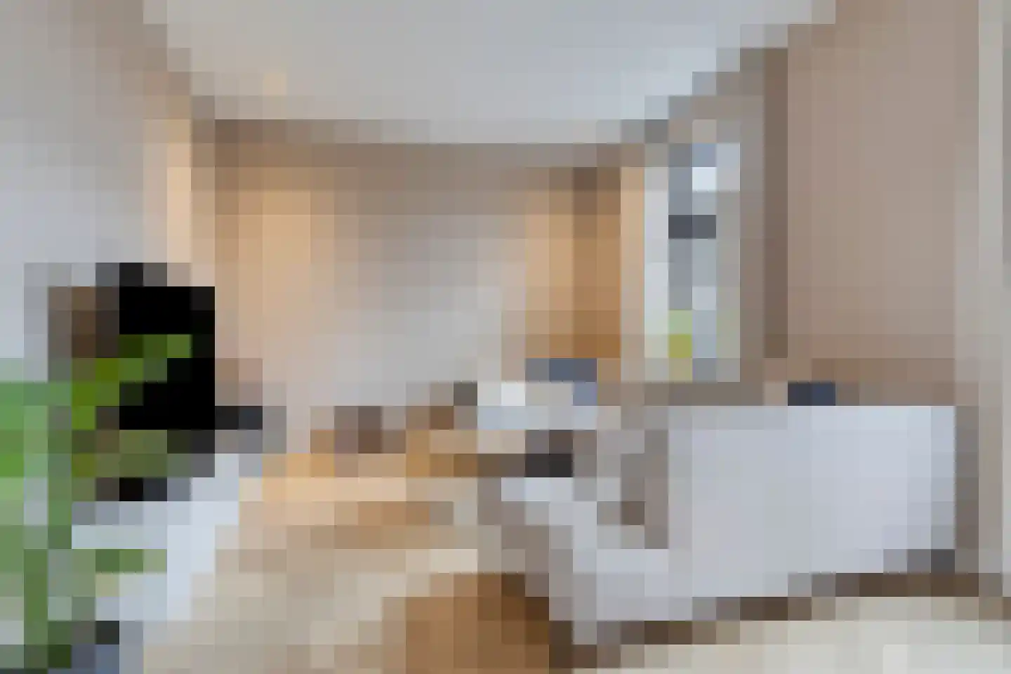 Venrayseweg 123 Horst thumbnail 12