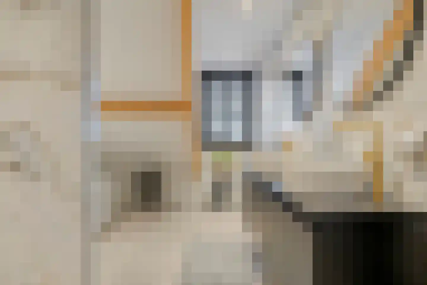 Venrayseweg 123 Horst thumbnail 49