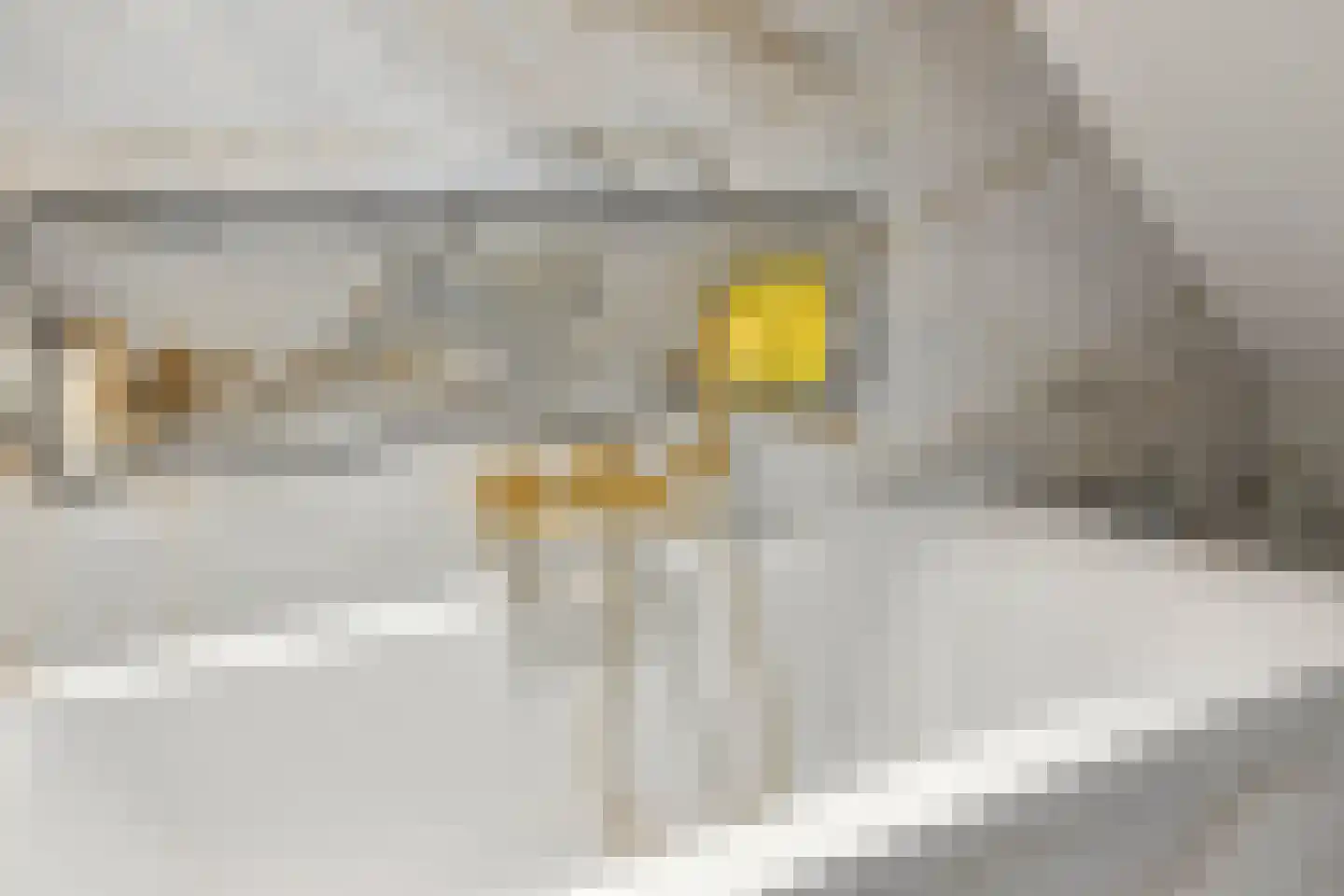 Venrayseweg 123 Horst thumbnail 53