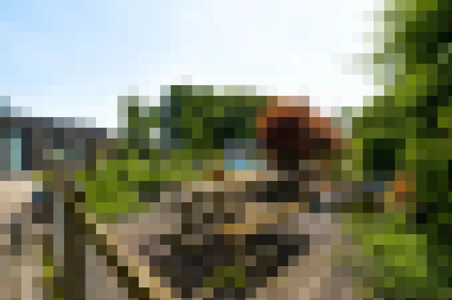 Venrayseweg 123 Horst thumbnail 60
