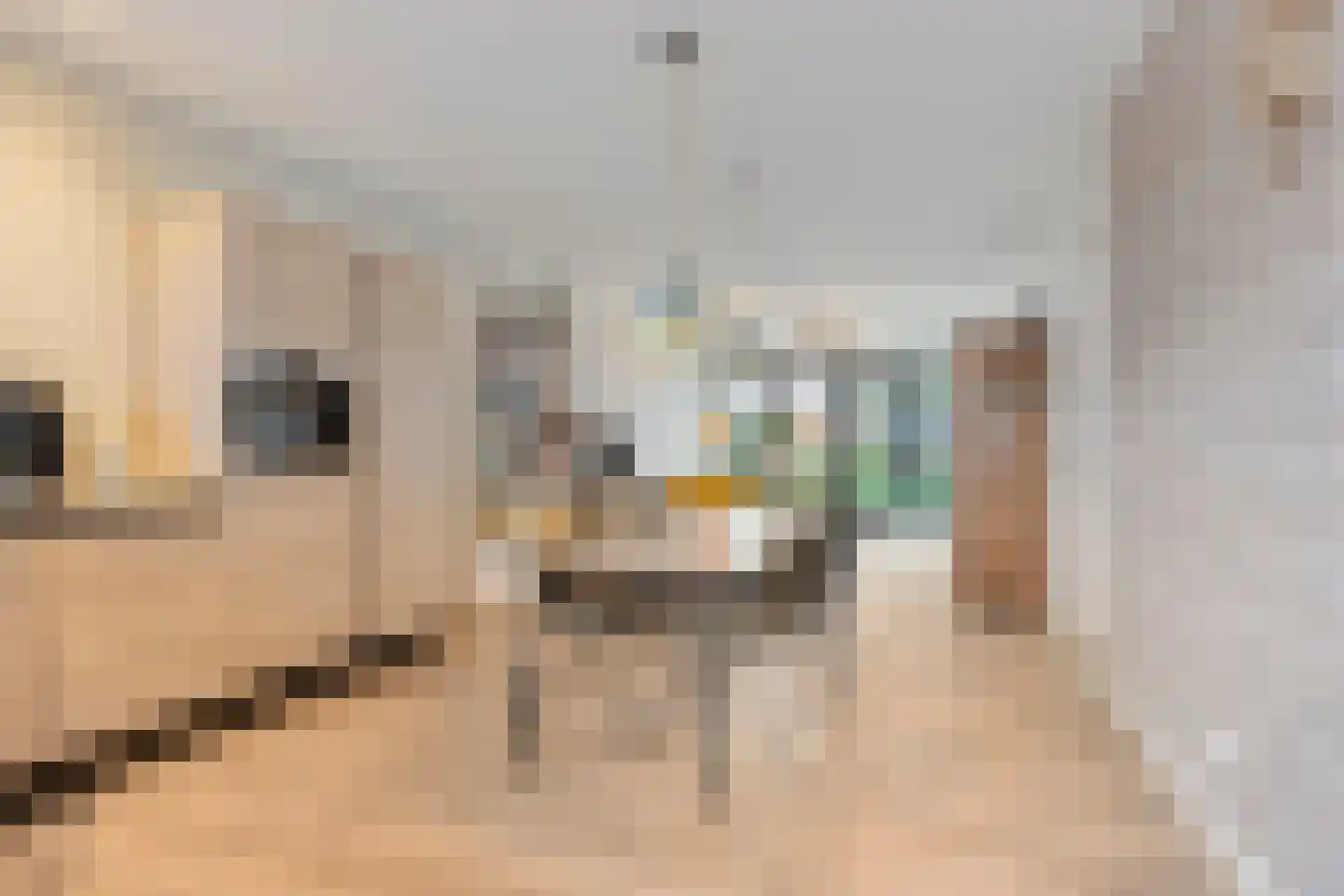 Venrayseweg 123 Horst thumbnail 69