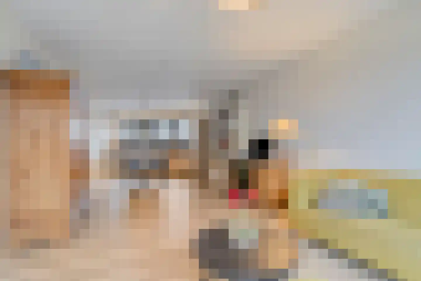 Venrayseweg 123 Horst thumbnail 72