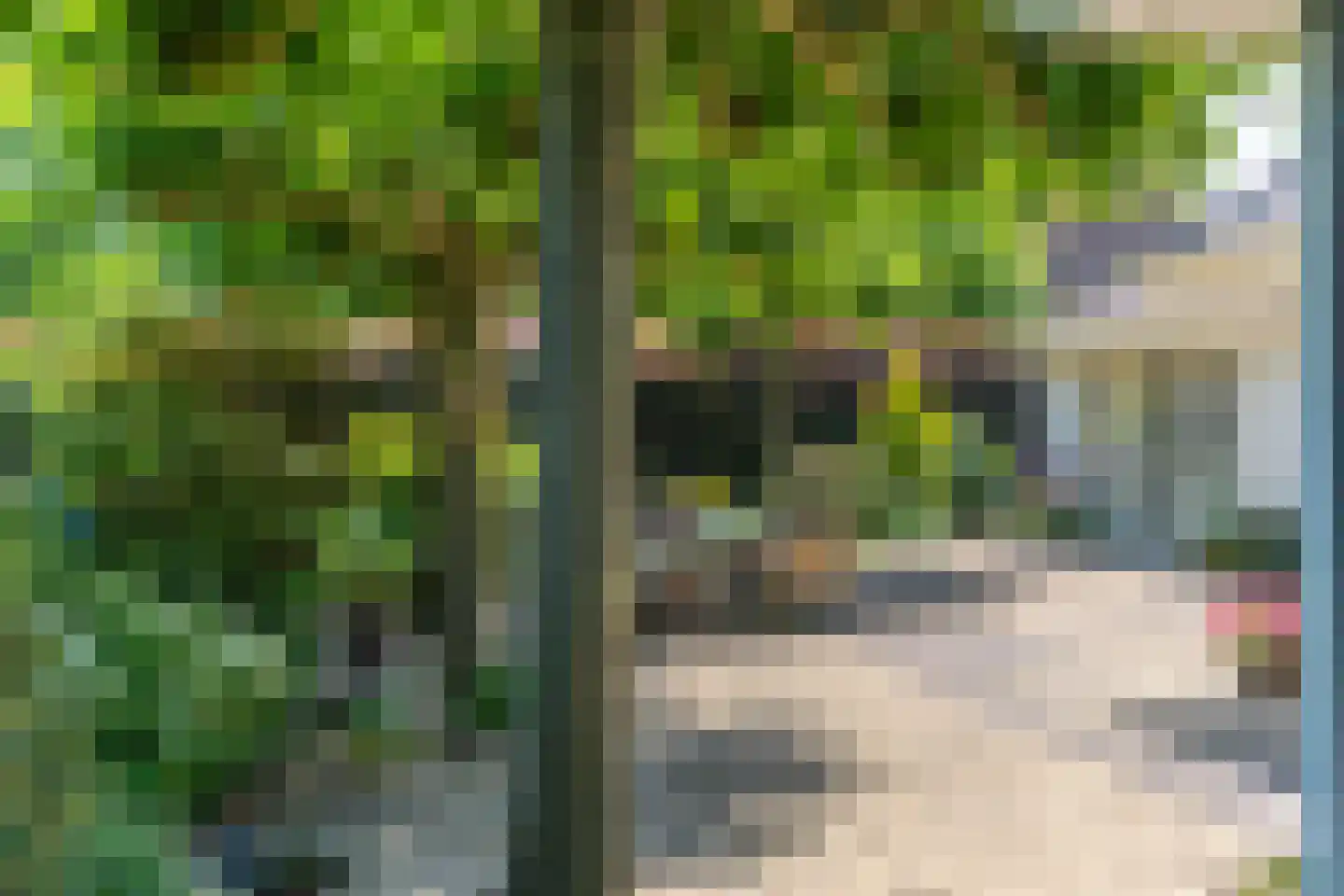 Venrayseweg 13 a Overloon thumbnail 13