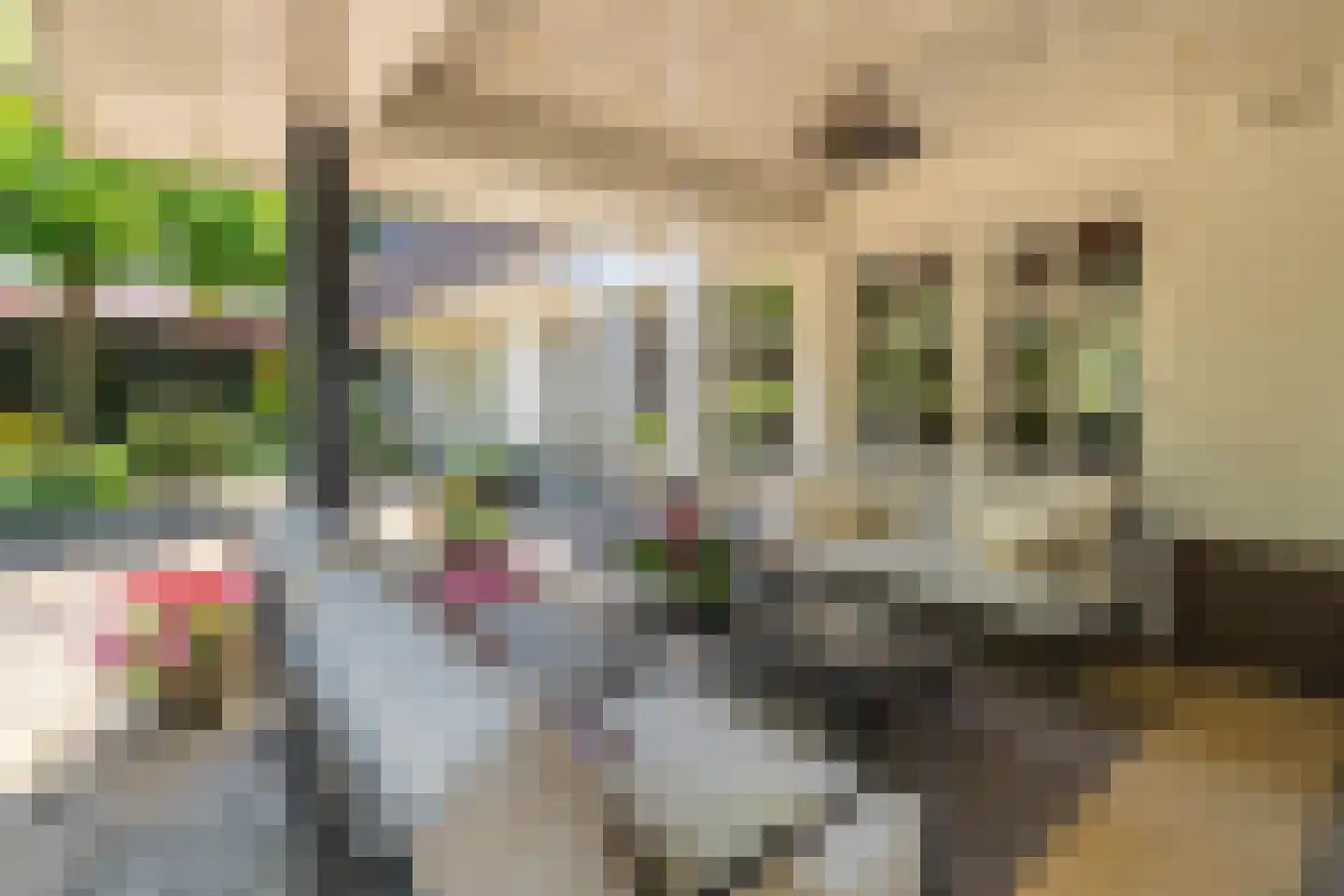 Venrayseweg 13 a Overloon thumbnail 18