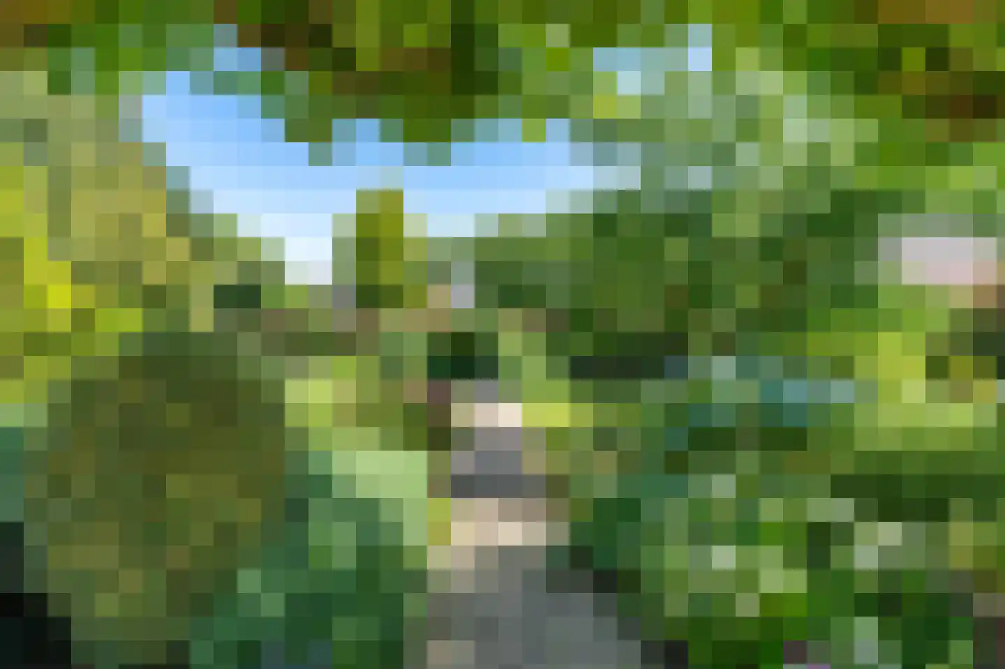Venrayseweg 13 a Overloon thumbnail 21