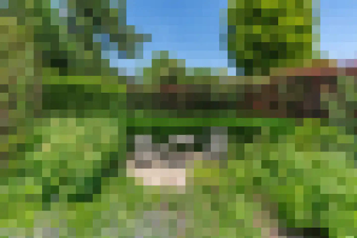 Venrayseweg 13 a Overloon thumbnail 27