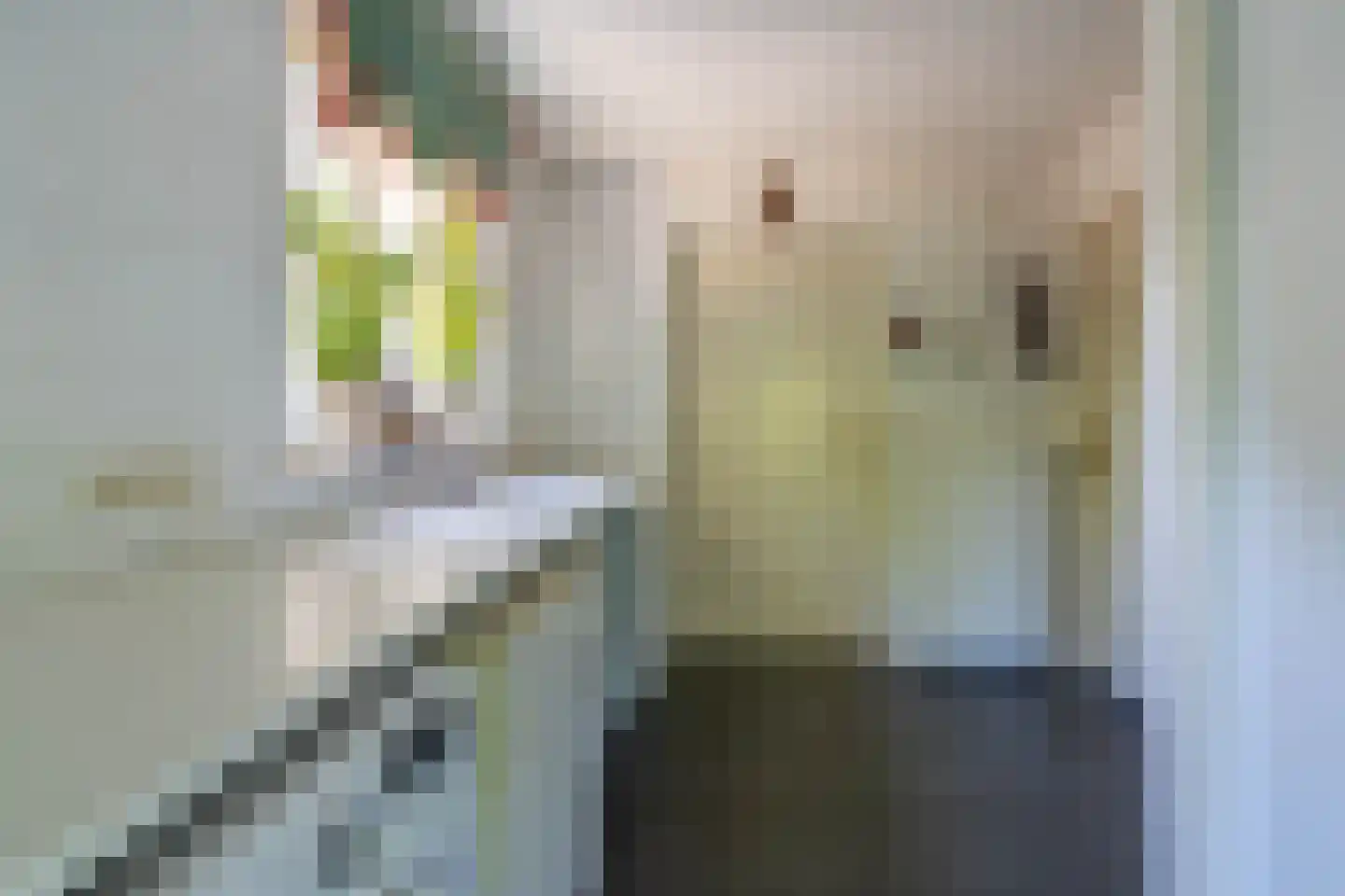 Venrayseweg 13 a Overloon thumbnail 31