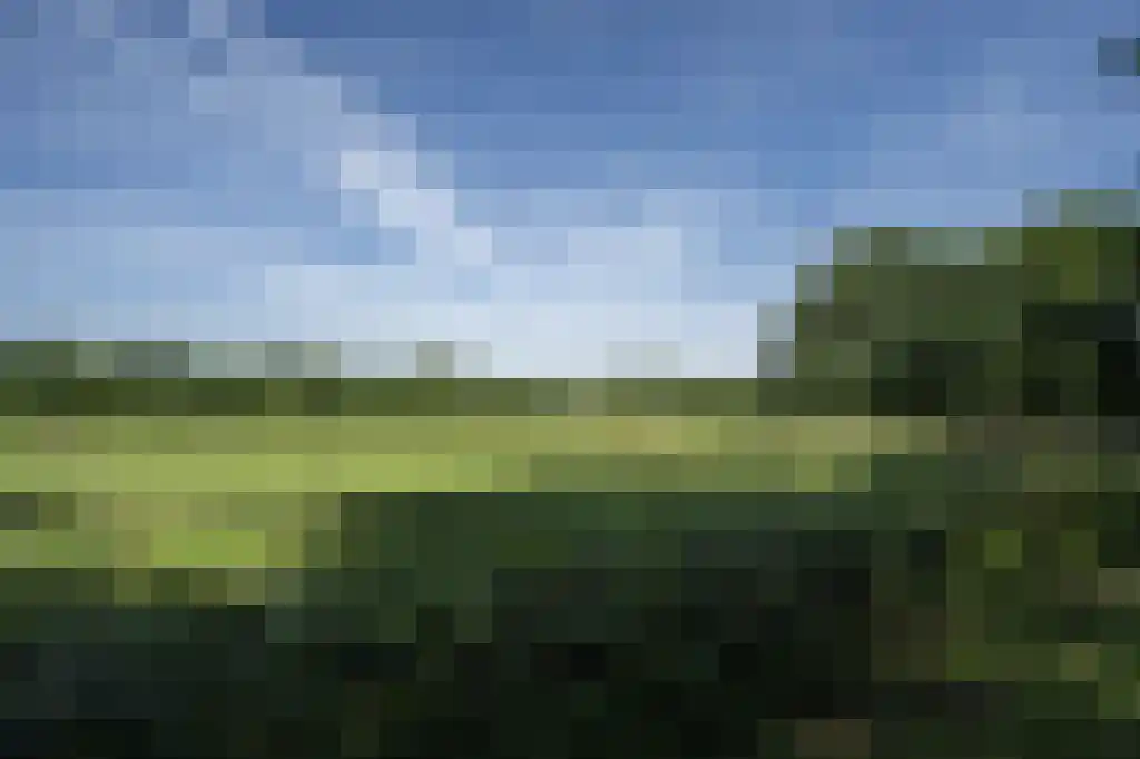 Venrayseweg 131 Horst thumbnail 4