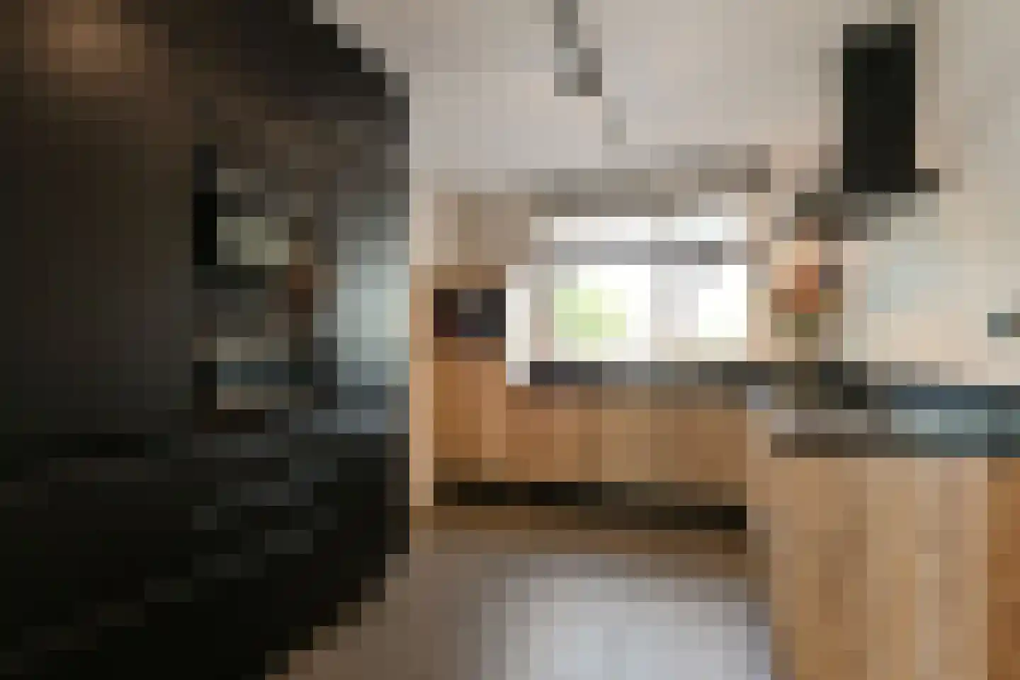 Venrayseweg 156 Horst thumbnail 14