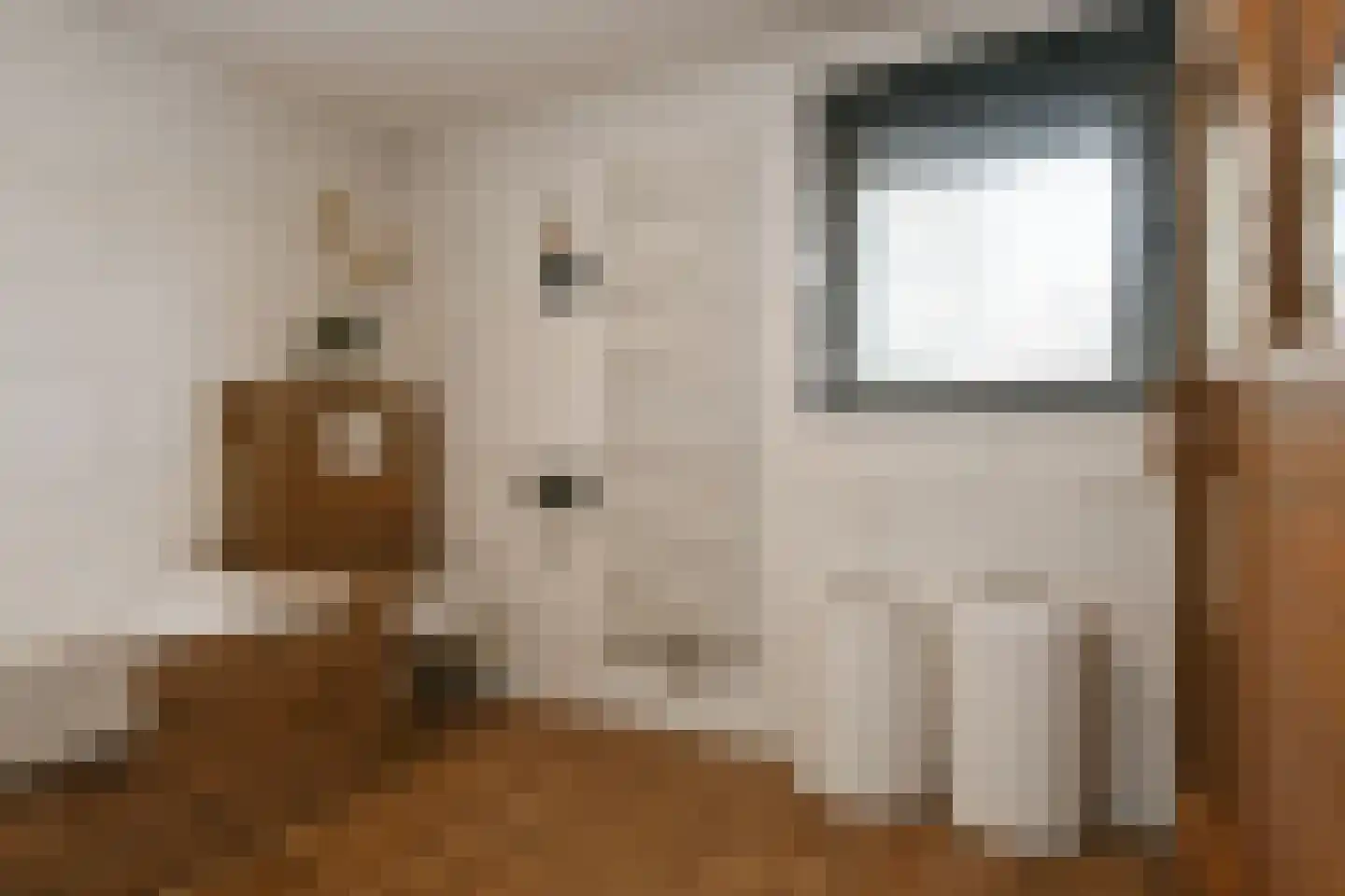 Venrayseweg 156 Horst thumbnail 25