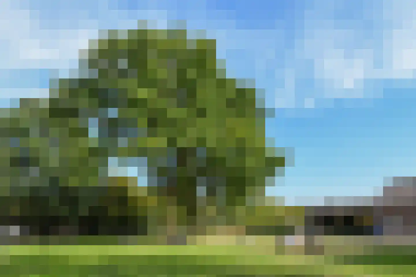 Venrayseweg 156 Horst thumbnail 44