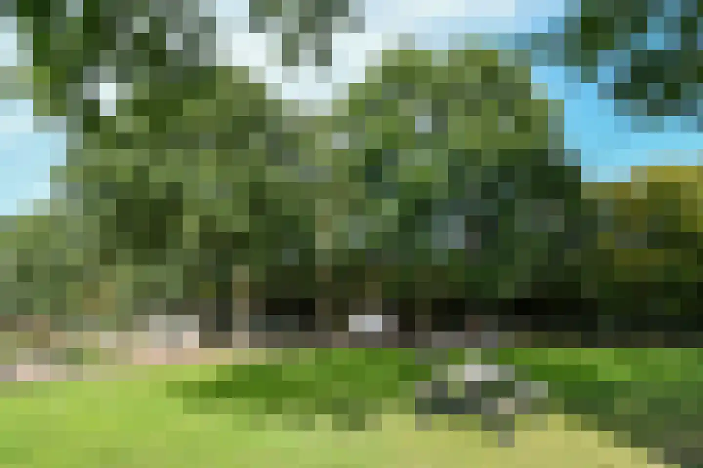 Venrayseweg 156 Horst thumbnail 46