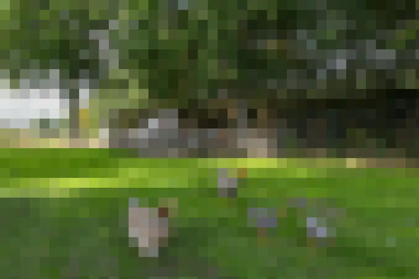 Venrayseweg 156 Horst thumbnail 49