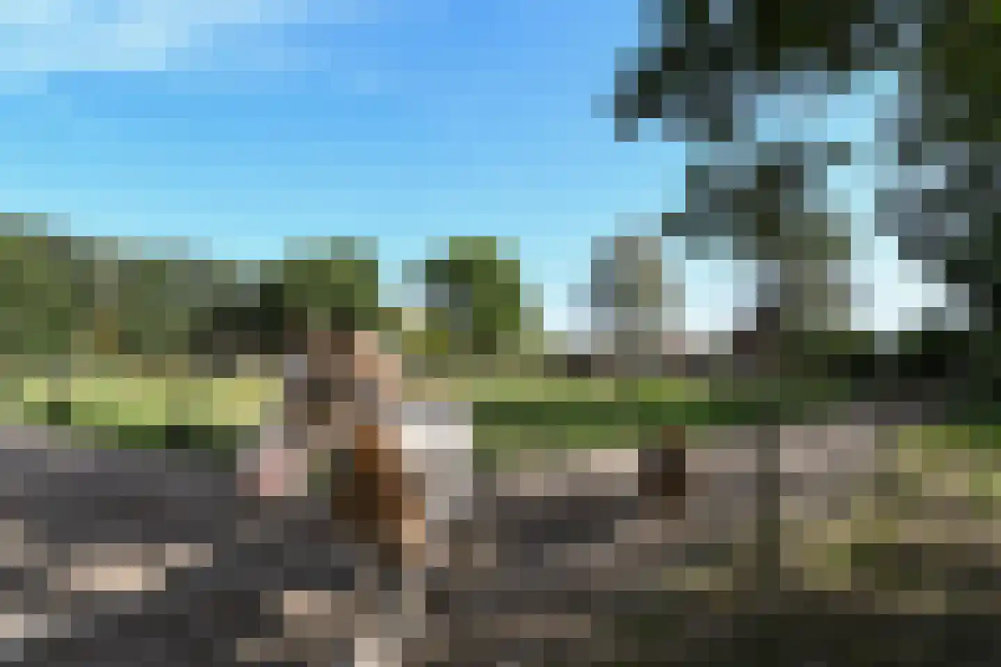Venrayseweg 156 Horst thumbnail 57