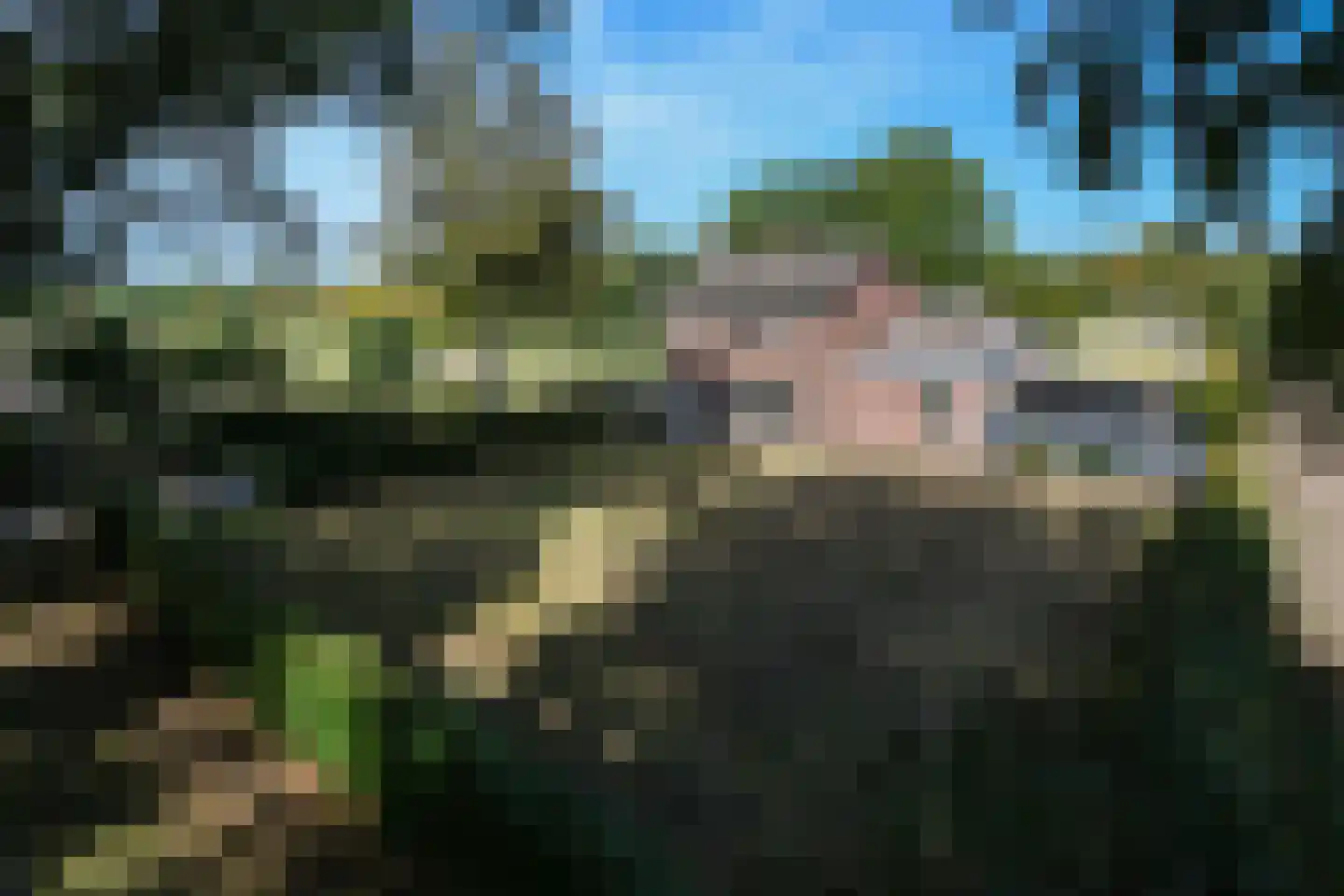 Venrayseweg 156 Horst thumbnail 6