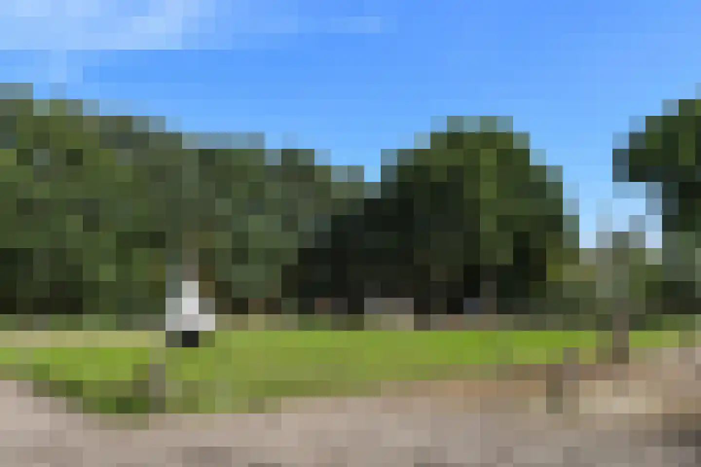 Venrayseweg 156 Horst thumbnail 60
