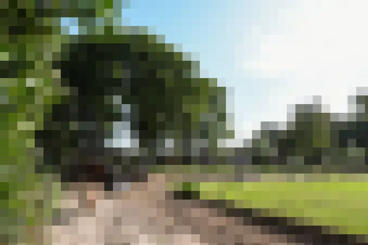 Venrayseweg 156 Horst thumbnail 63