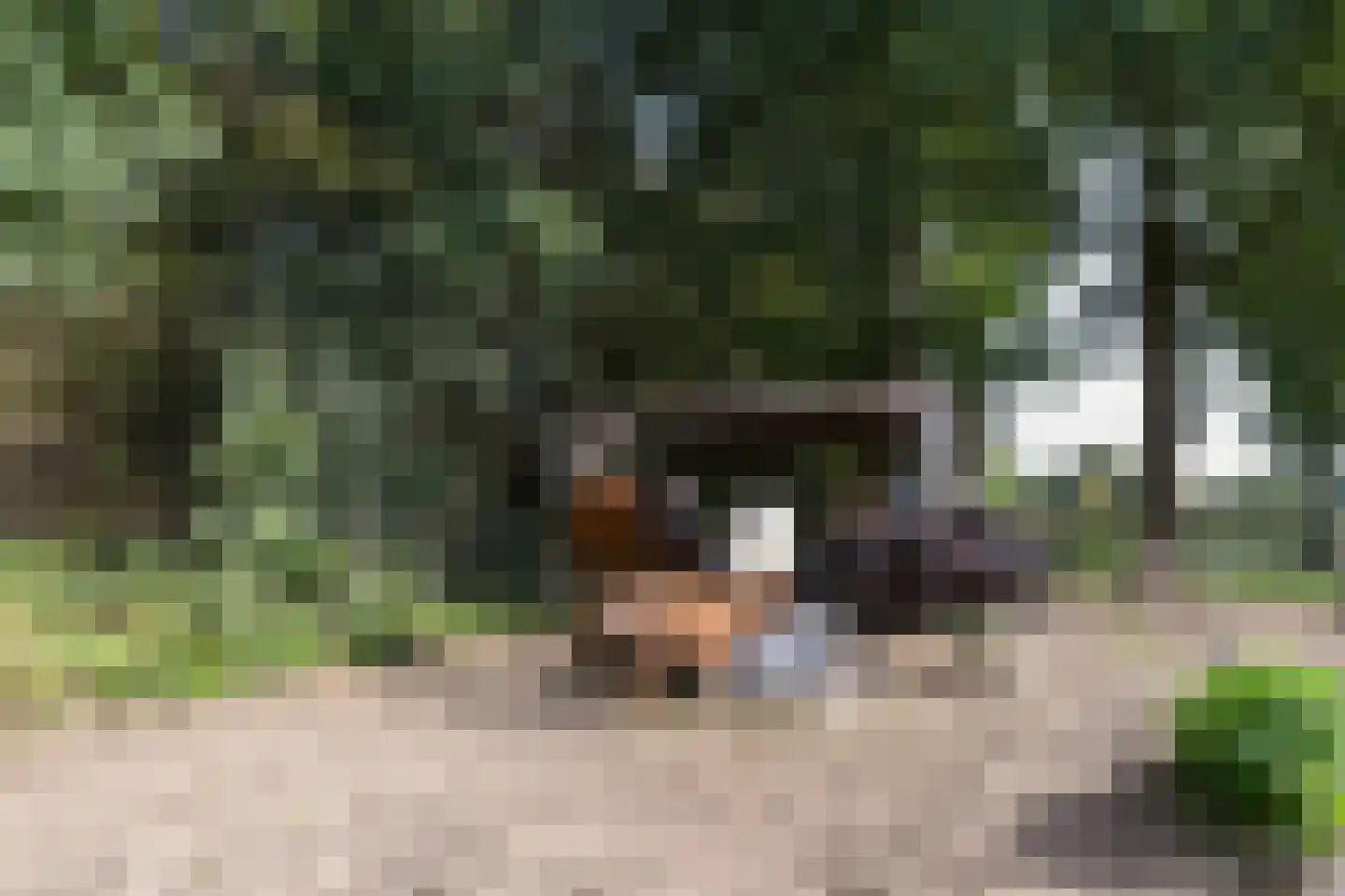 Venrayseweg 156 Horst thumbnail 64