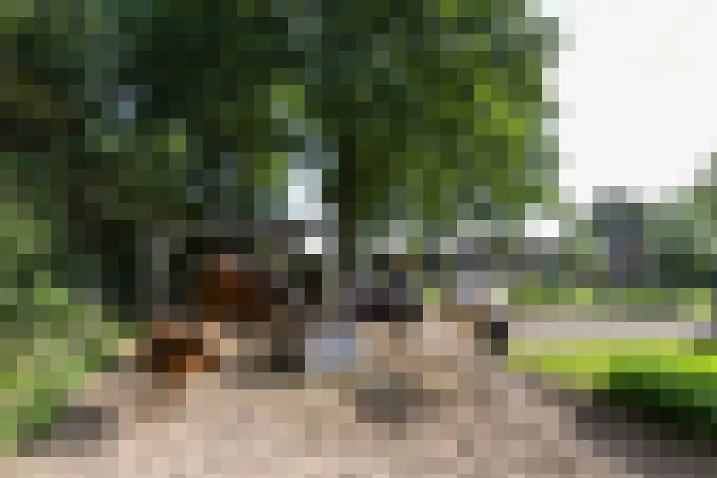 Venrayseweg 156 Horst thumbnail 65