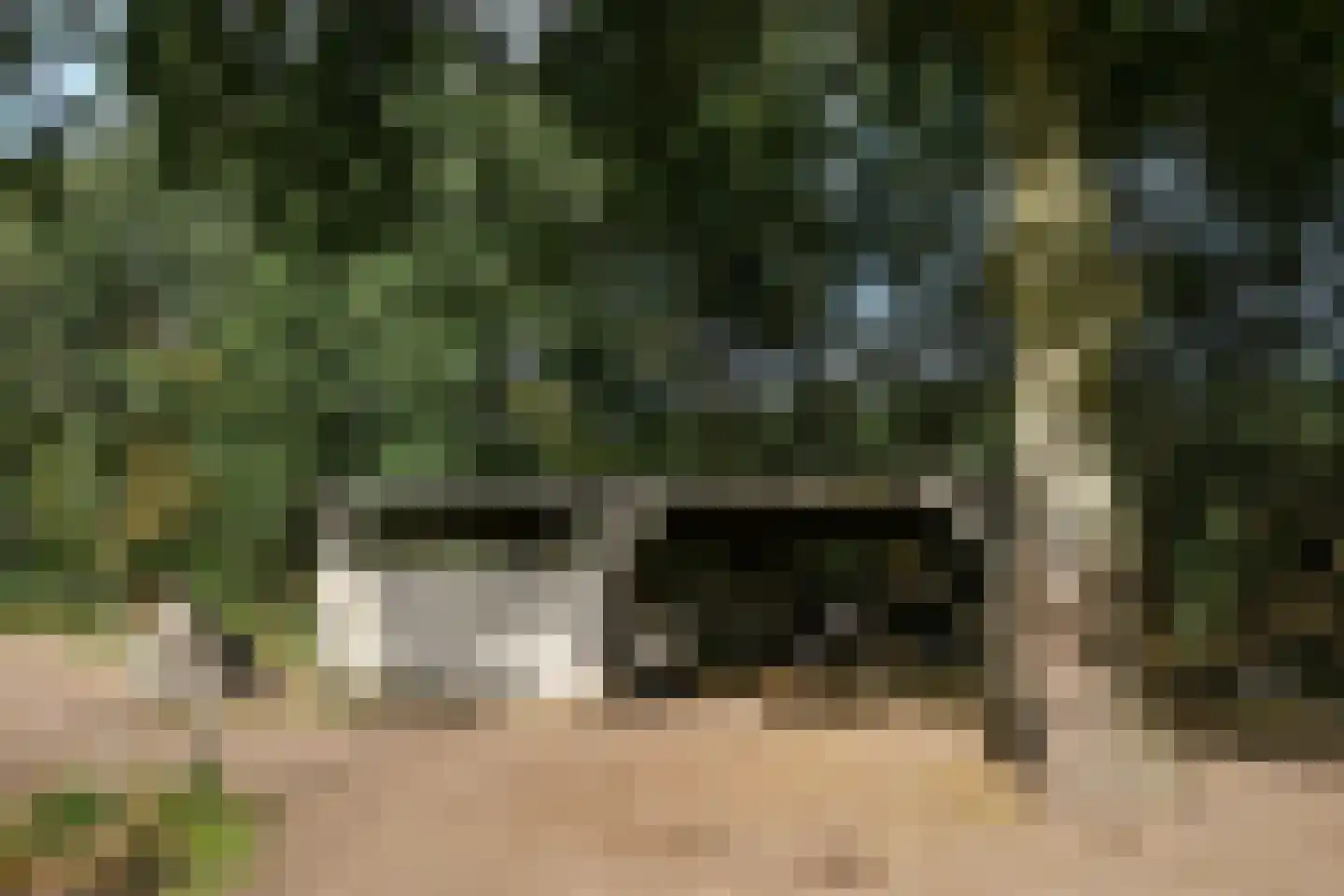 Venrayseweg 156 Horst thumbnail 66