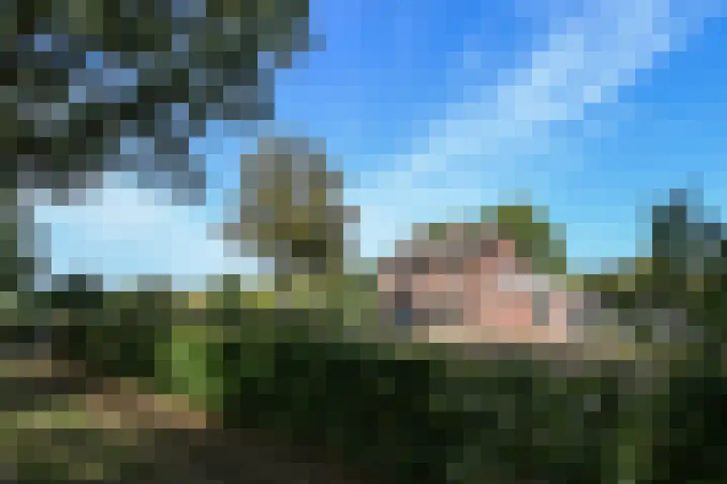 Venrayseweg 156 Horst thumbnail 7