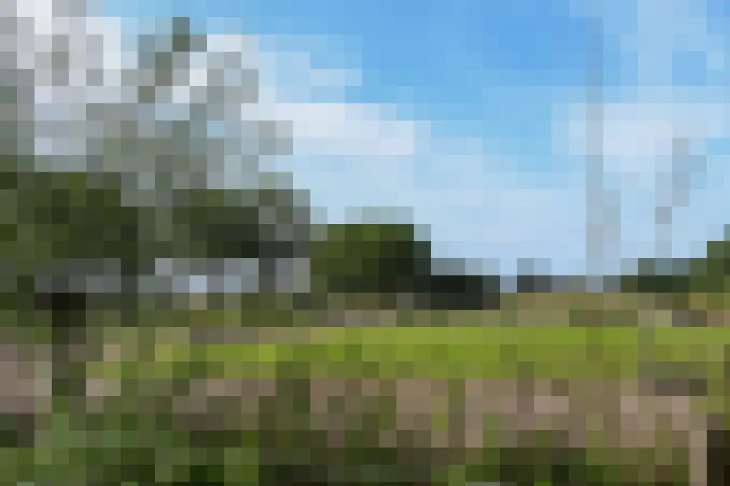 Venrayseweg 156 Horst thumbnail 72