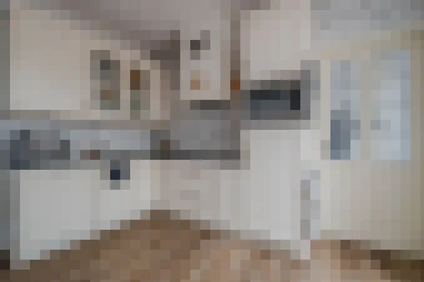 Venrayseweg 19 Wanssum thumbnail 15