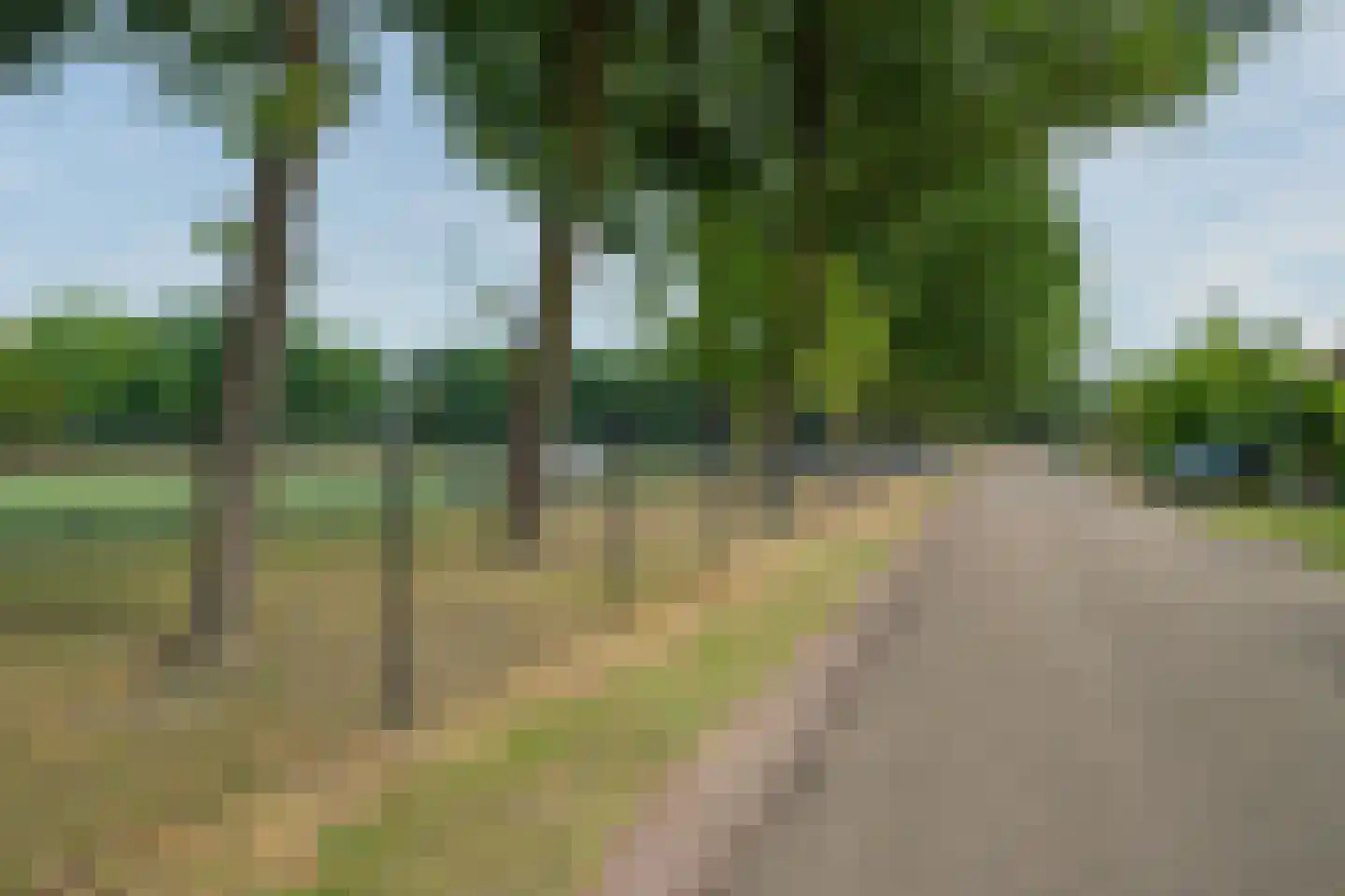 Venrayseweg 19 Wanssum thumbnail 42