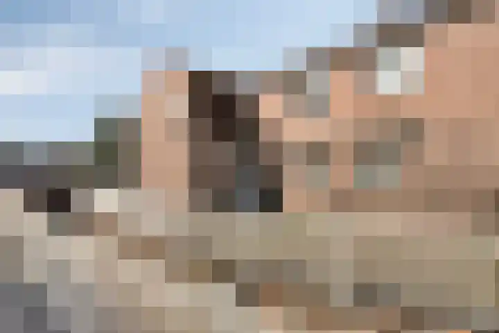 Venrayseweg 2 a Horst thumbnail 37
