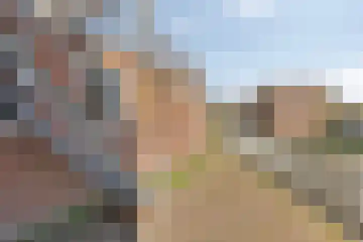 Venrayseweg 2 a Horst thumbnail 38