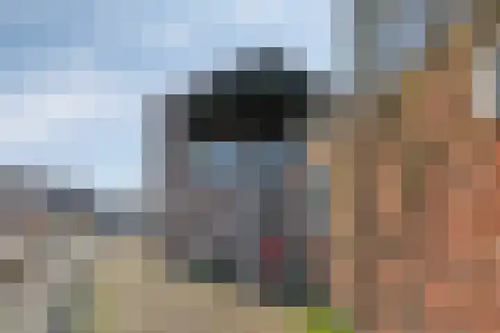 Venrayseweg 2 a Horst thumbnail 40