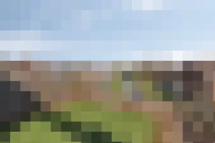 Venrayseweg 2 a Horst thumbnail 42