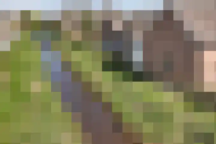 Venrayseweg 2 a Horst thumbnail 43