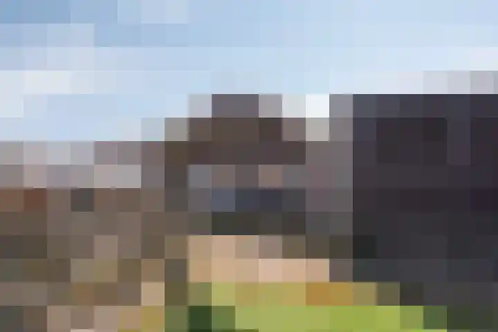Venrayseweg 2 a Horst thumbnail 44