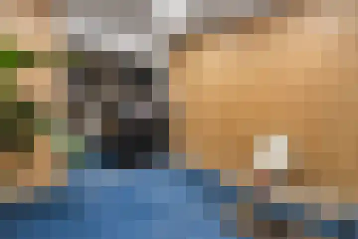 Venrayseweg 2 a Horst thumbnail 9