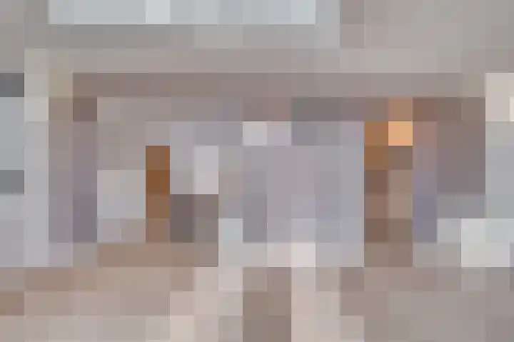 Venrayseweg 3 A Wanssum thumbnail 10
