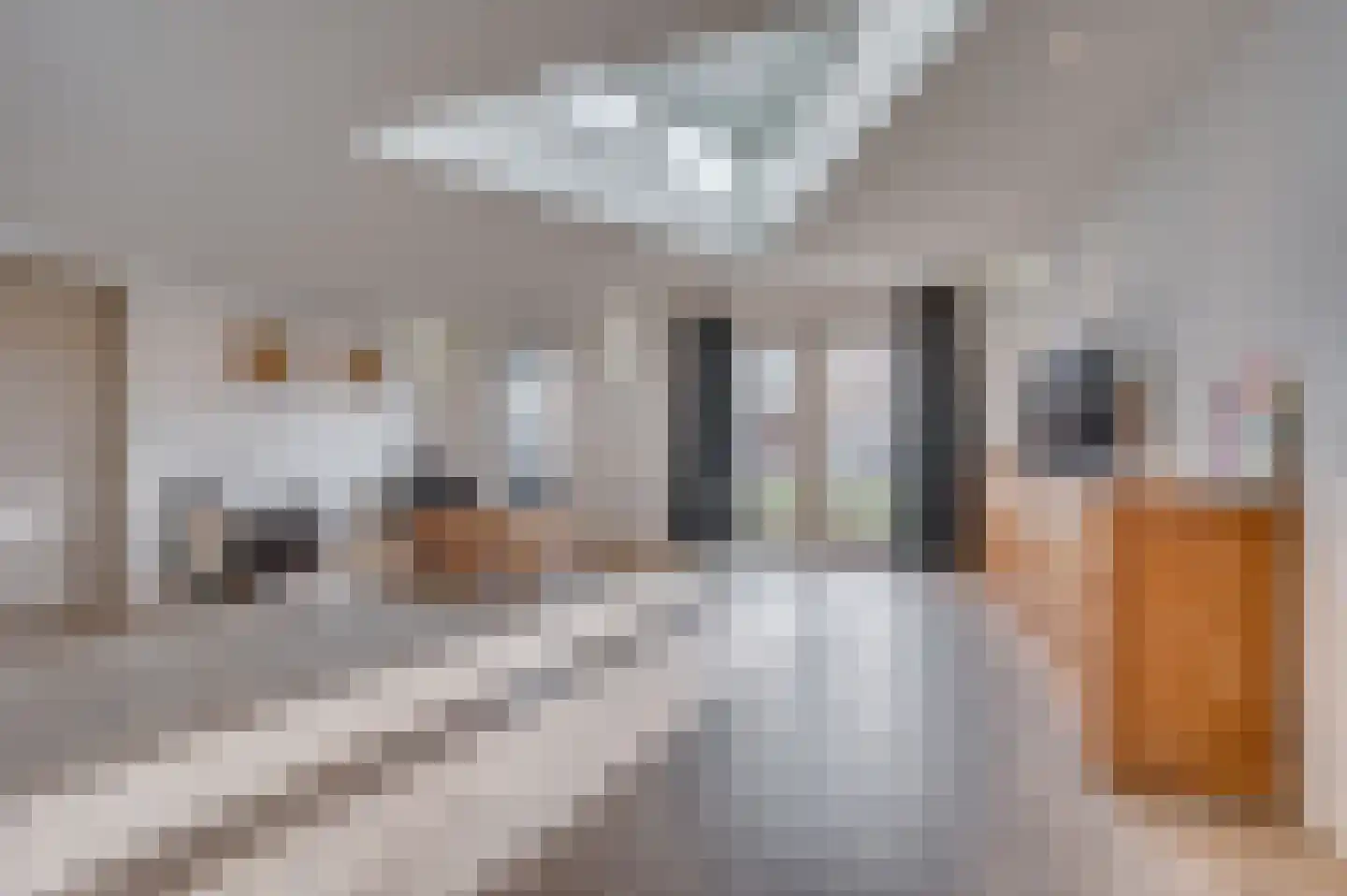 Venrayseweg 3 A Wanssum thumbnail 10