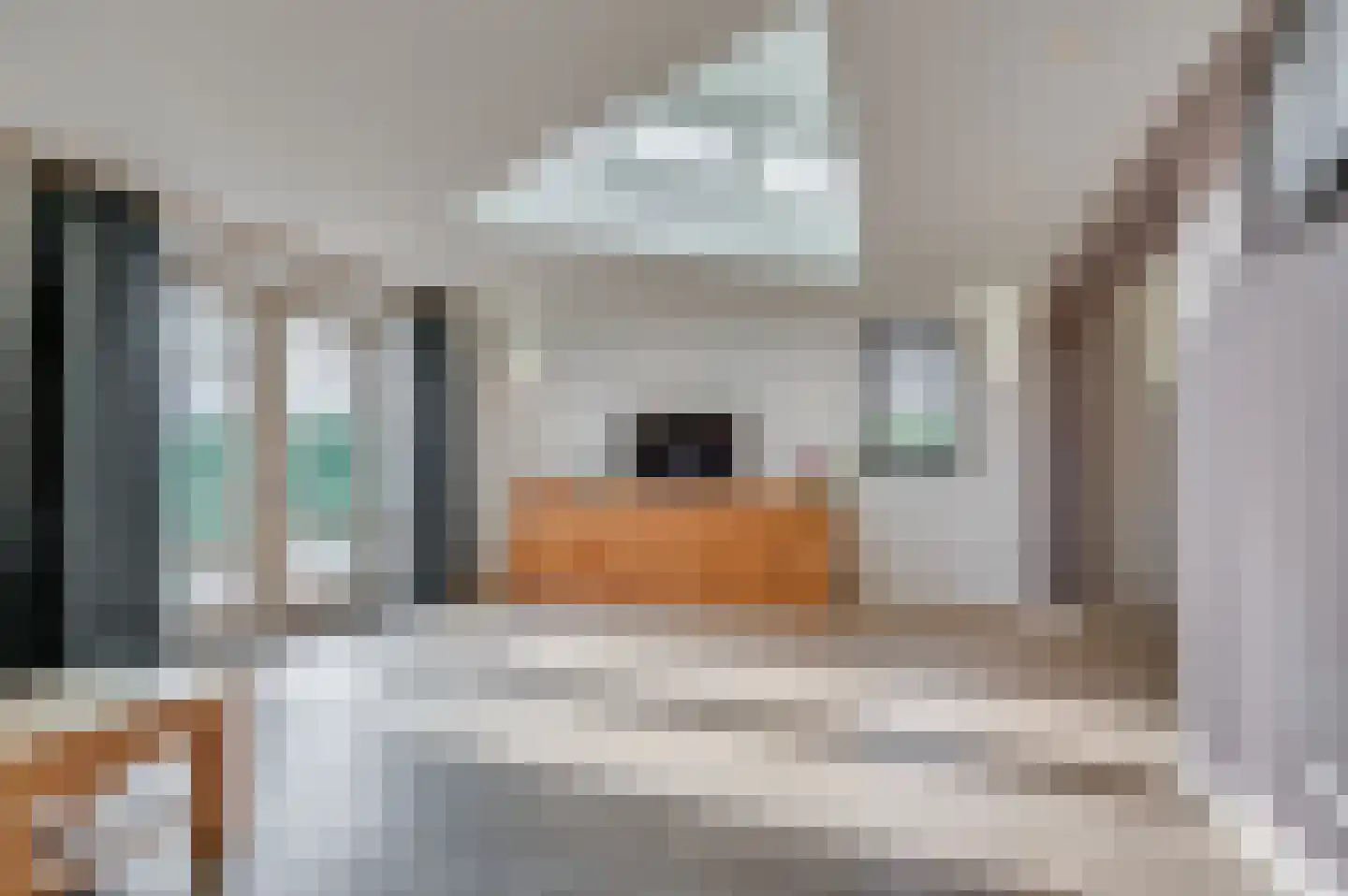 Venrayseweg 3 A Wanssum thumbnail 11