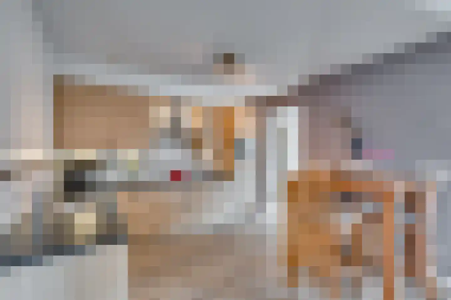 Venrayseweg 3 A Wanssum thumbnail 13