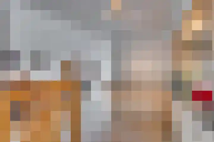Venrayseweg 3 A Wanssum thumbnail 14