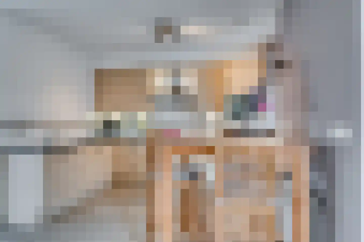 Venrayseweg 3 A Wanssum thumbnail 14
