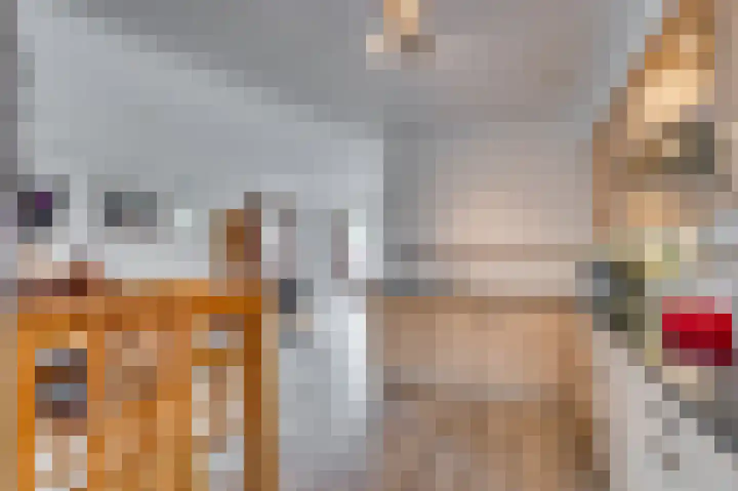 Venrayseweg 3 A Wanssum thumbnail 15