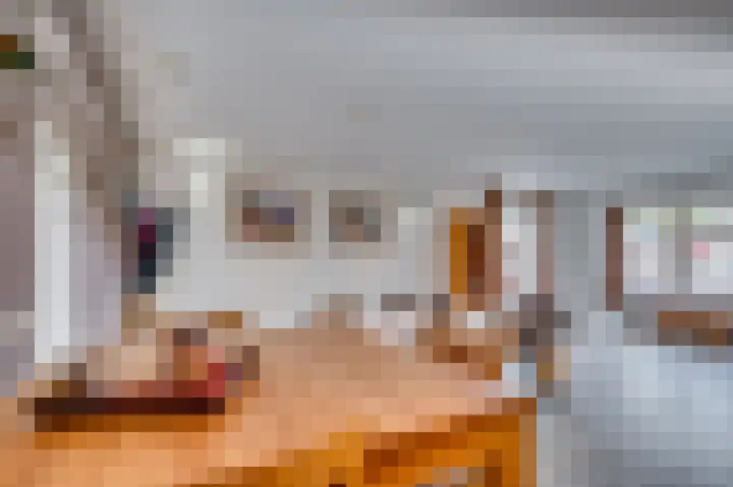 Venrayseweg 3 A Wanssum thumbnail 16
